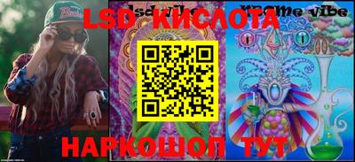 СК Новозыбков