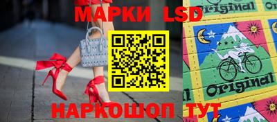 МДПВ Новокубанск