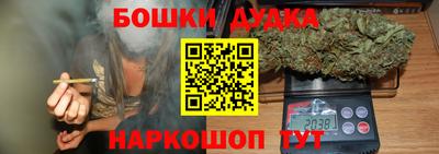 МДПВ Новокубанск