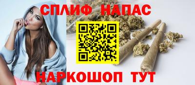 СК Новозыбков
