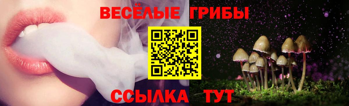 Псилоцибиновые грибы Psilocybine cubensis Троицк